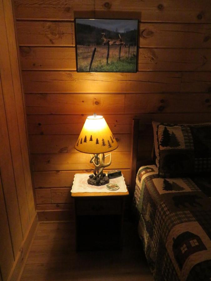 Misty Creek Log Cabins Maggie Valley Buitenkant foto